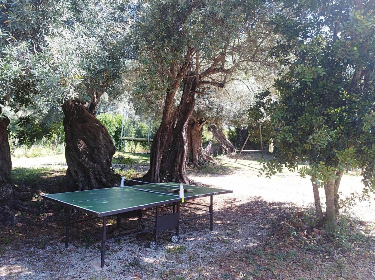 Quinta Dos Valados Panzió Querenca Kültér fotó