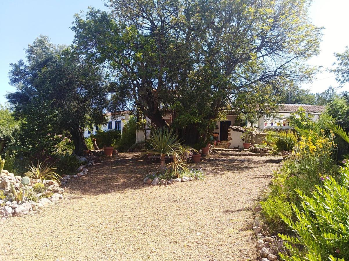 Quinta Dos Valados Panzió Querenca Kültér fotó